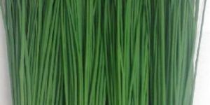 Fresh Chives