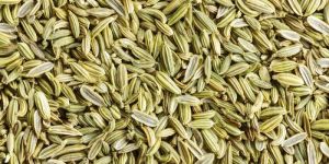 Fennel Seeds