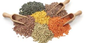 Lentils