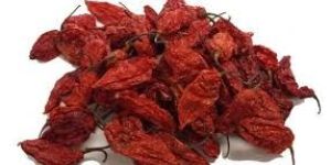 Natural King Chili (Bhut Jolokia)