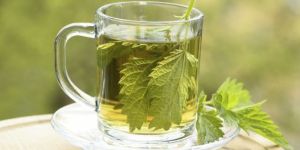 Nettle Buransh Infusion Green Tea