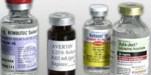 Anesthesia Injections