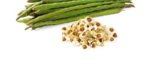 Moringa Seeds