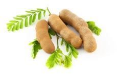 Tamarind
