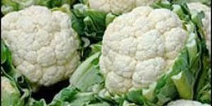 Fresh Cauliflower