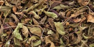 Dried Shyam Tulsi Leaves