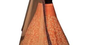 Orange Lehenga Choli