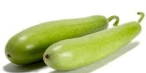 Fresh Bottle Gourd