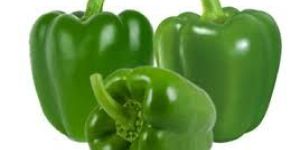 Fresh Capsicum