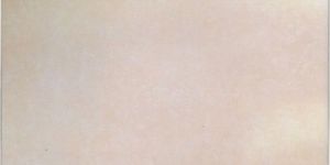 Ordinary Floor Tiles