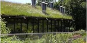 Coir Mattings for Roof Surface Cooling