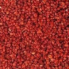 Gloriosa Superba Seeds