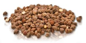 Black Chickpeas