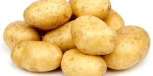 Fresh Potato