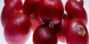 Fresh Red Onion