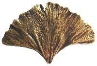 Decorative Brass Knobs