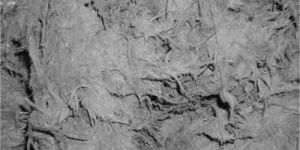 Dough Molding Compound