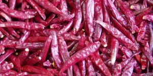 Dried Red Chilli