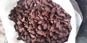 Black Cardamom