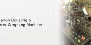 Carton Collating over Wrapping Machine