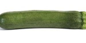Fresh Courgette