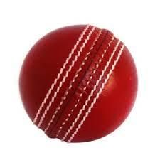 Leather Cricket Balls