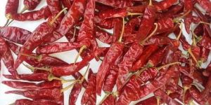 Endo 5 Dry Red Chilli