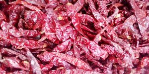 Stemless Duplicate Byadgi Chilli