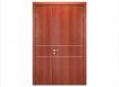 Wooden Finish Steel Doors