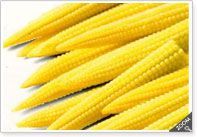 Frozen Baby Corn