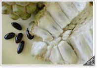 Frozen Custard Apple Pulp