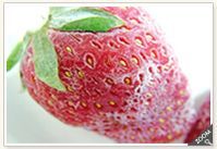 Frozen Strawberry