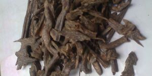 Oud Oil ( Sai-al- Madina)