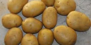 Potatoes