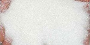 Sugar