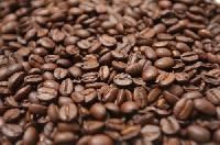 Robusta Coffee