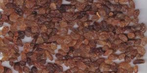 Brown Raisins