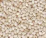 Sesame Seeds