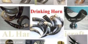 Horn Decorative Items