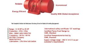 Unbalance Vibratory Motor