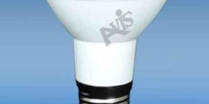 LED Par Light