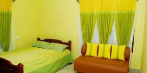 Handloom Cotton Curtains