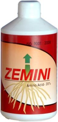 Zemini