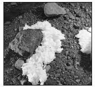 Sorbent Particulate U94