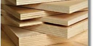 Veneer Plywood