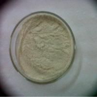 Protein Hydrolysate Powder