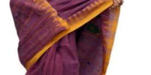 Purple Cotton Saree