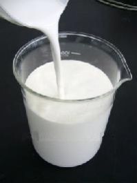 Liquid Latex Adhesive