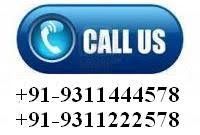 Shainex Packers Services