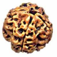 Nepal Bead (4 Mukhi)